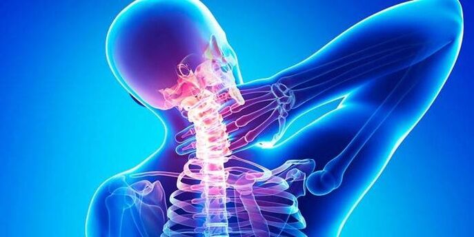 cervical bone